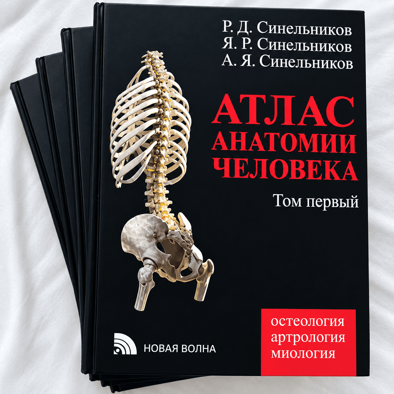 Sinelnikov anatomiya atlasi, qattiq muqova A4
